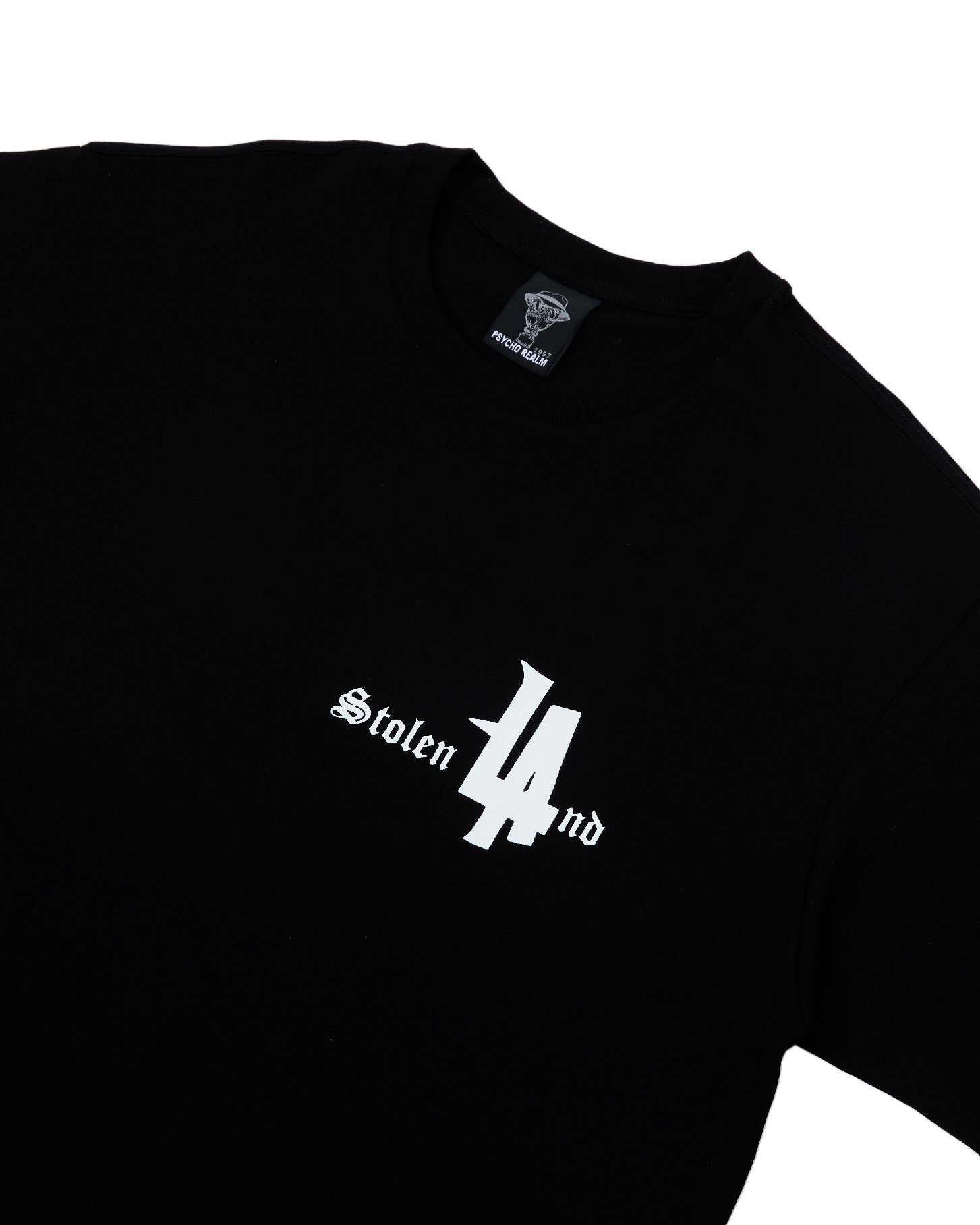 Stolen Land tee